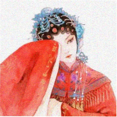标本册编辑者头像01