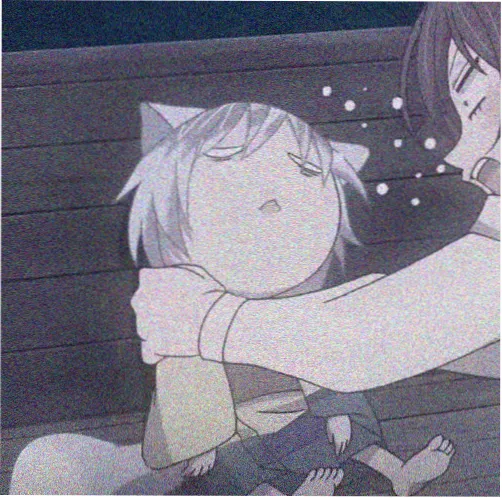 标本册编辑者头像02